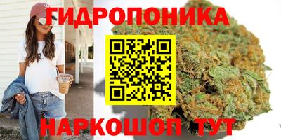 ПСИЛОЦИБИНОВЫЕ ГРИБЫ Мариинск
