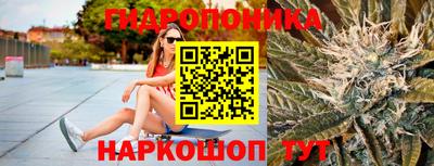 крисы Малоярославец