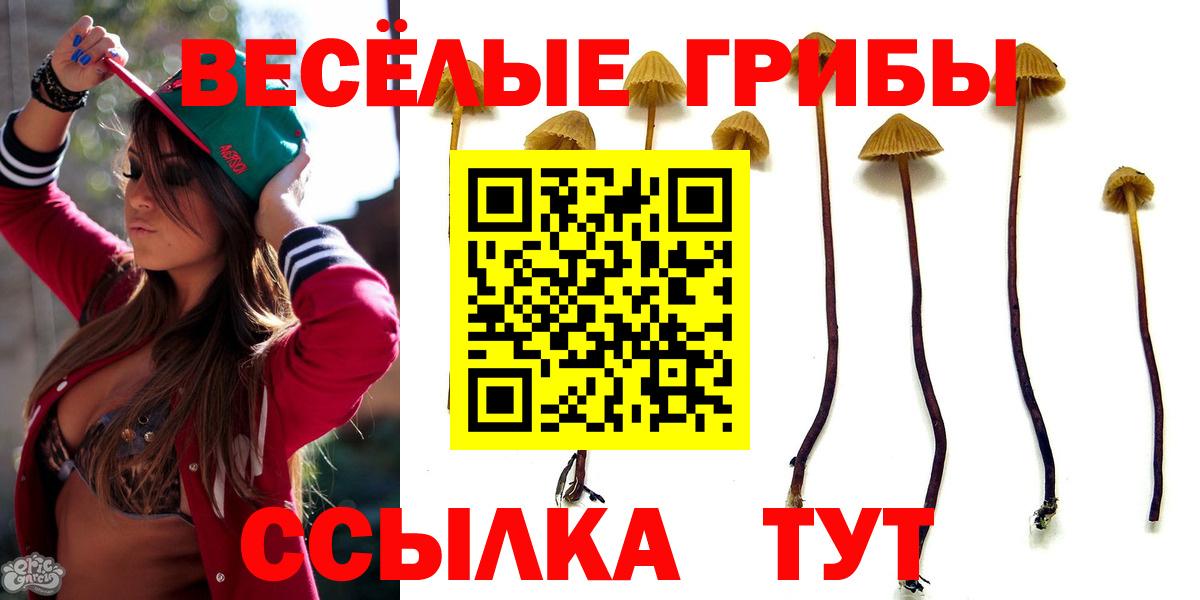 Псилоцибиновые грибы прущие грибы Волгодонск